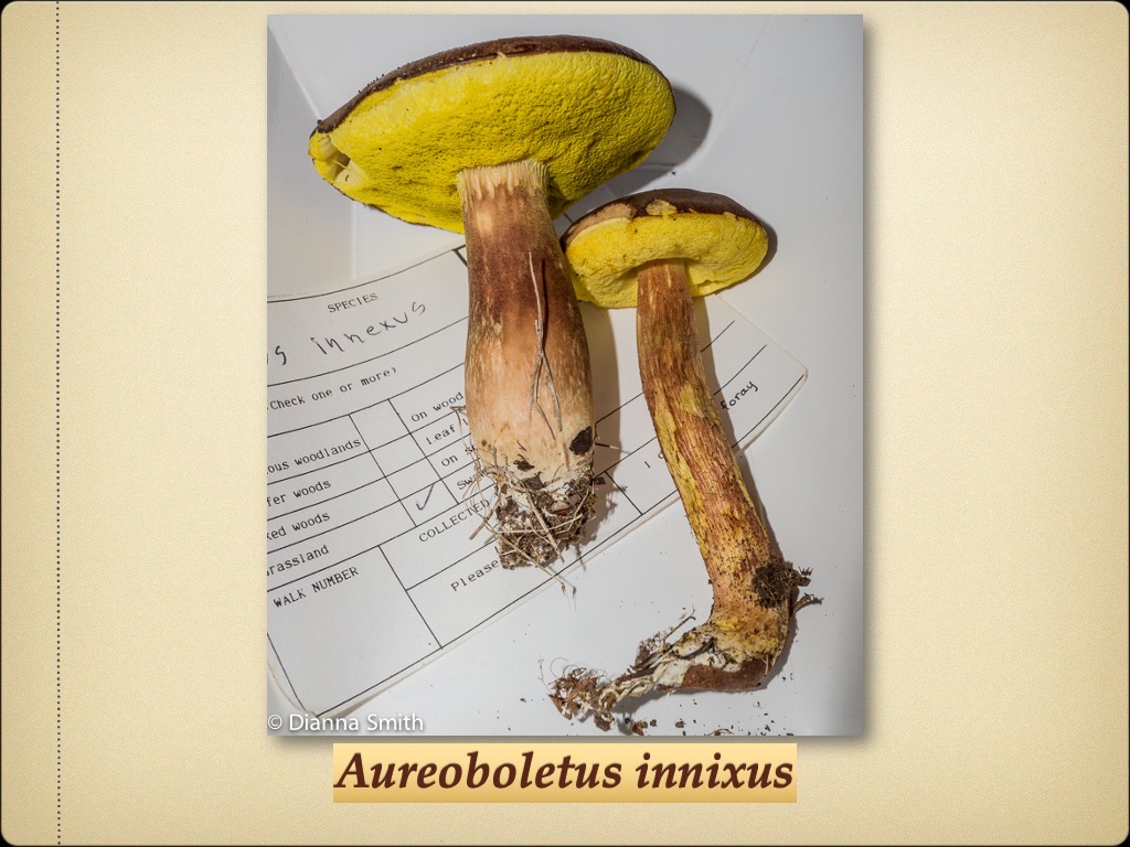 Slide61