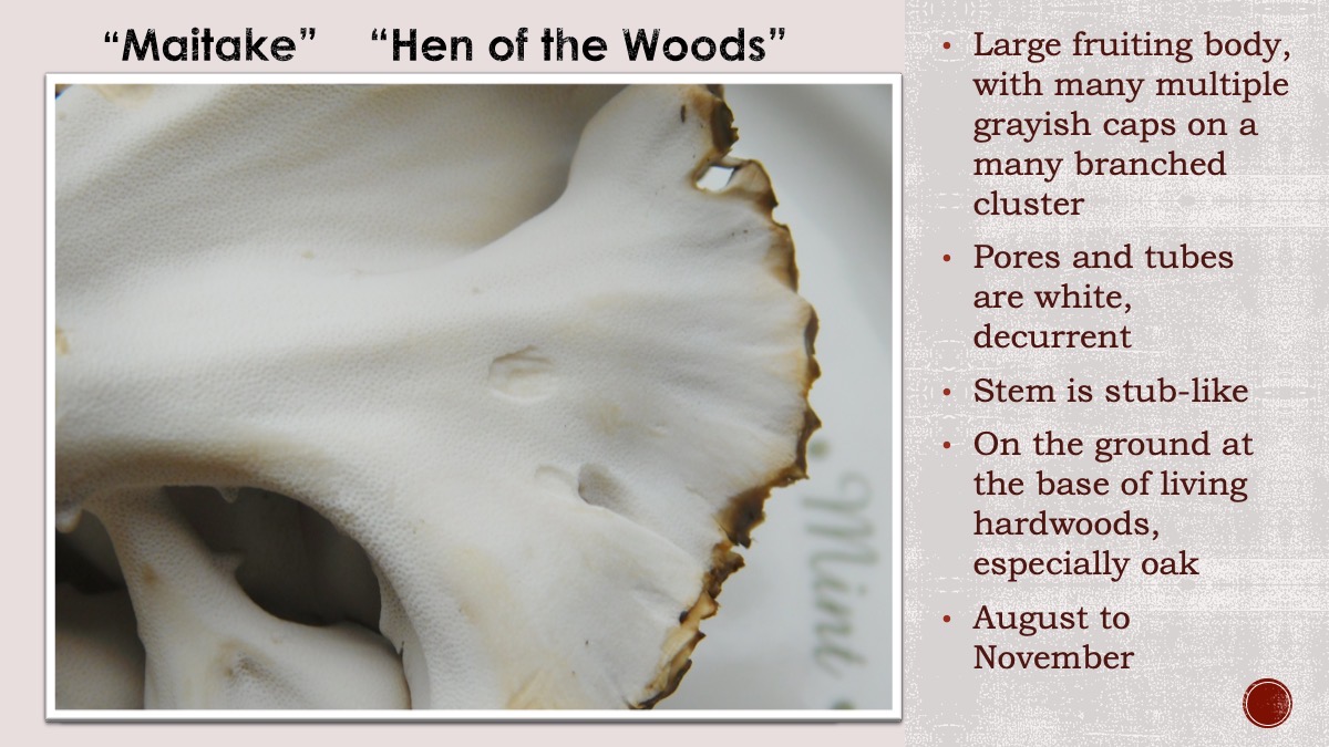 Slide61
