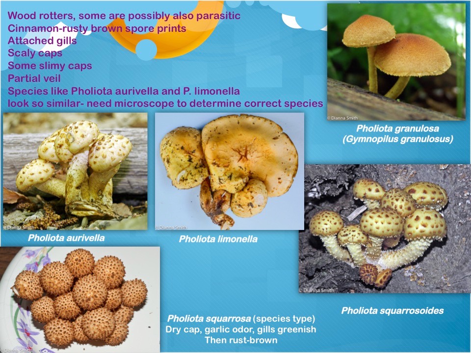 Slide61