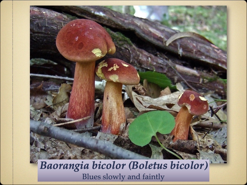 Slide63