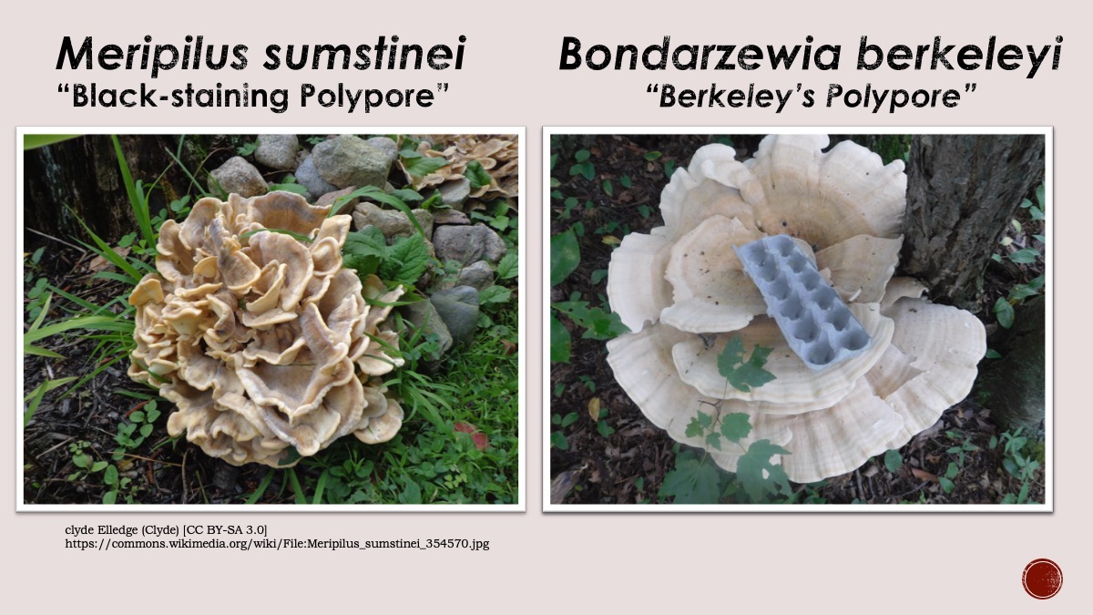 Slide63