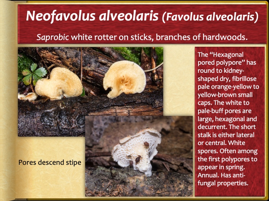 Slide63