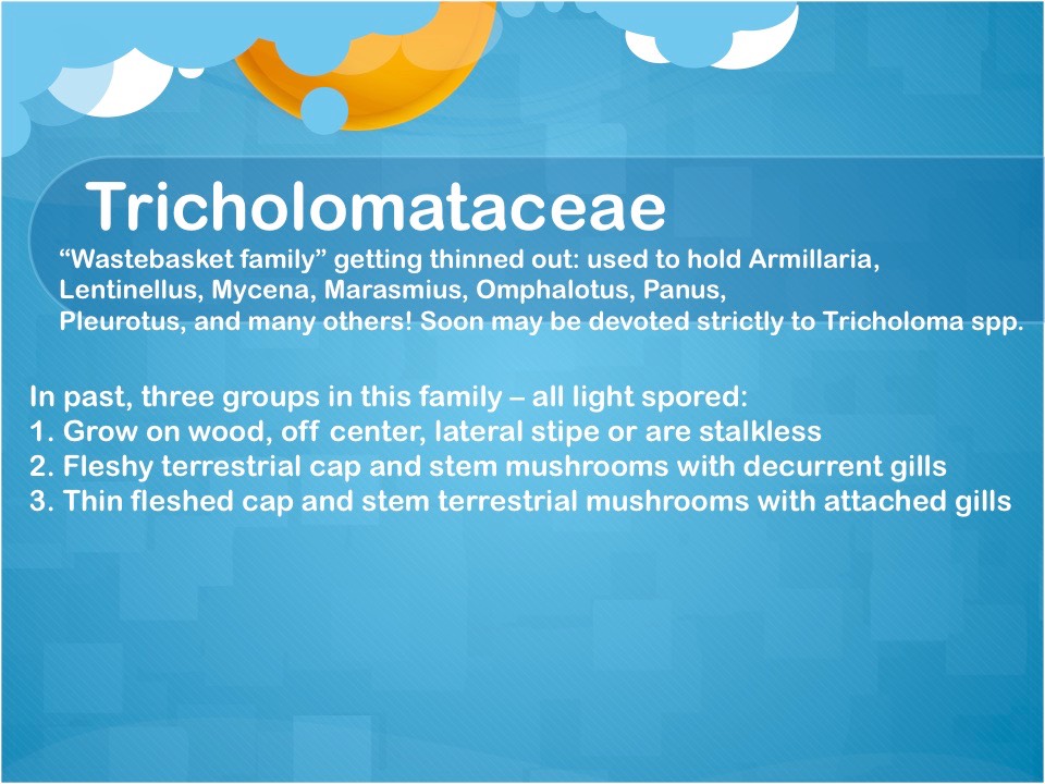 Slide63