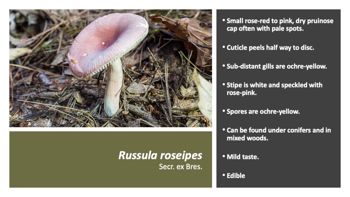 Slide64