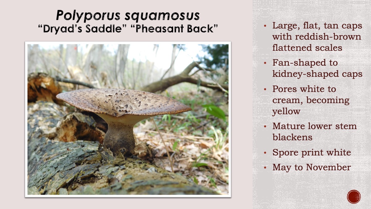 Slide64