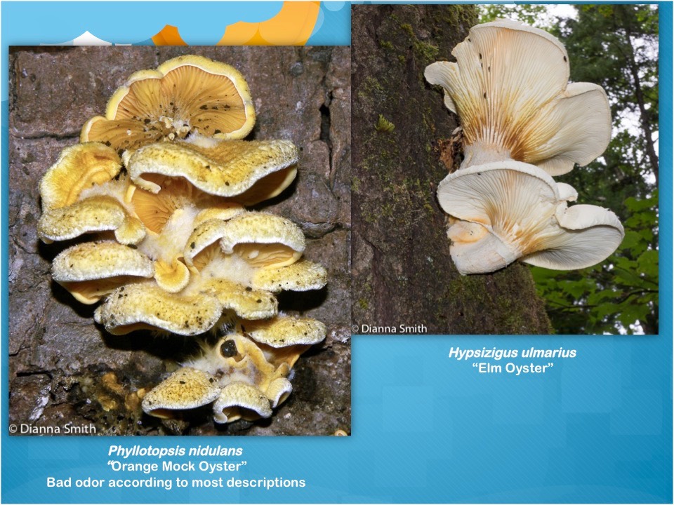 Slide64