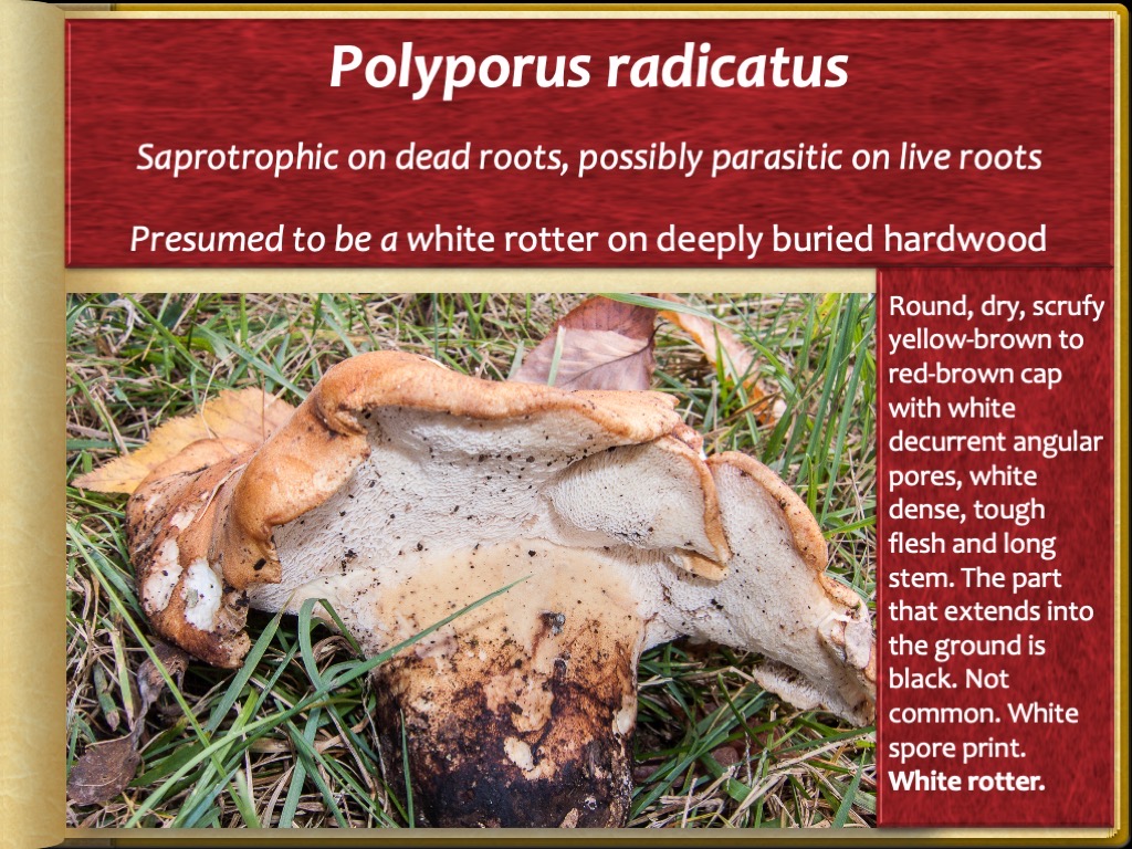 Slide65