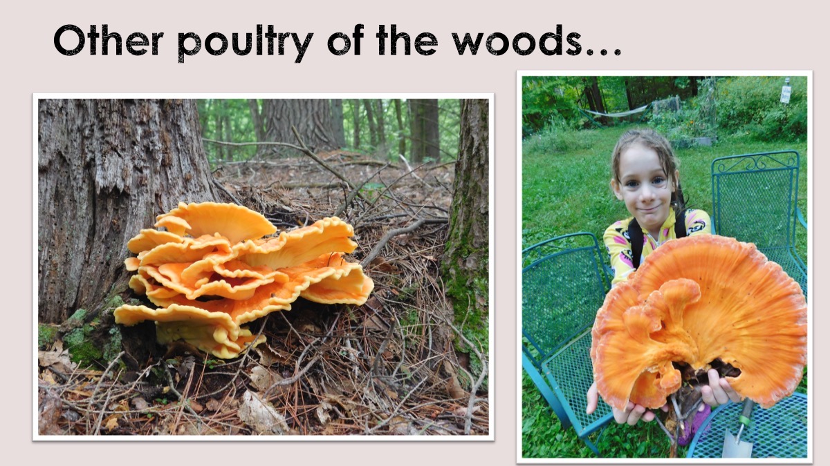 Slide65