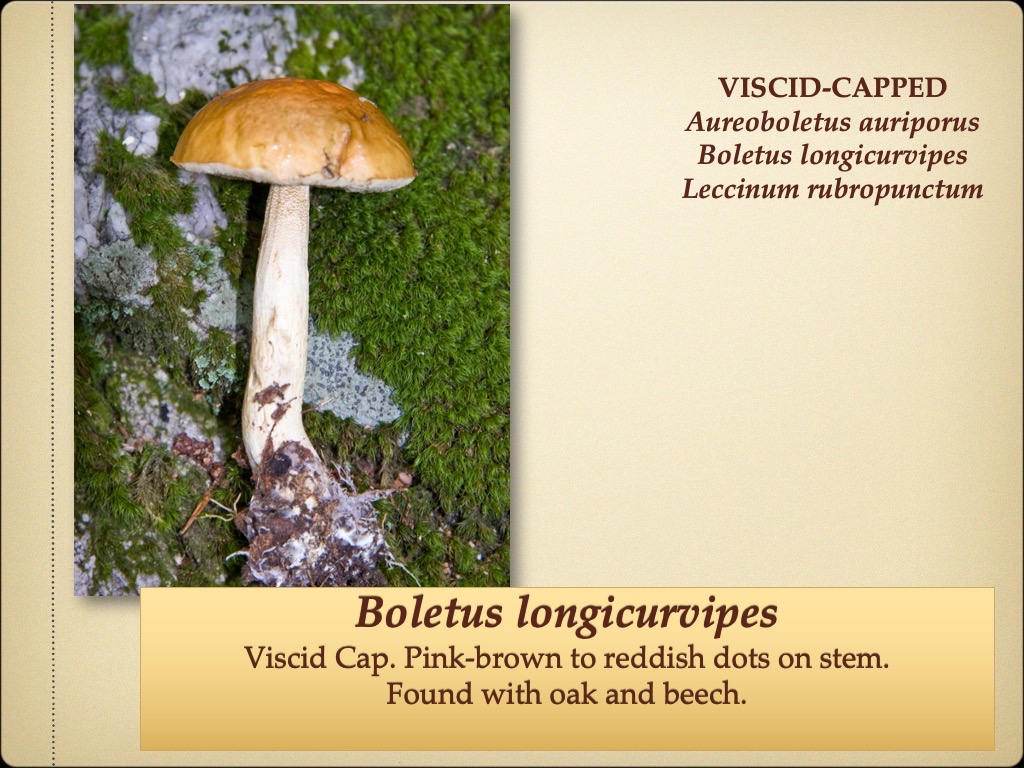 Slide66
