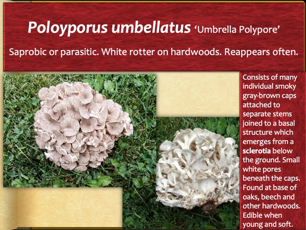 Slide67