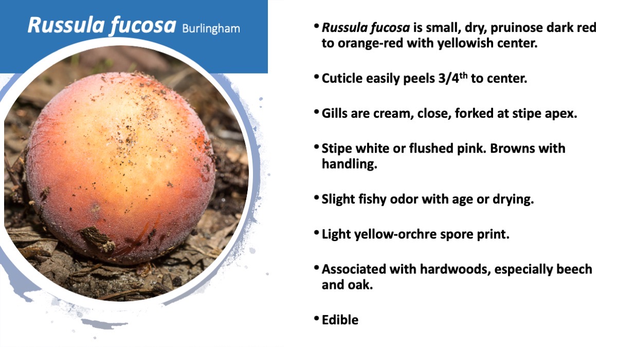 Slide67