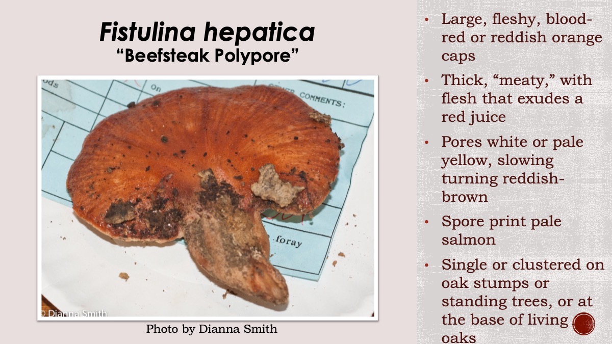 Slide67