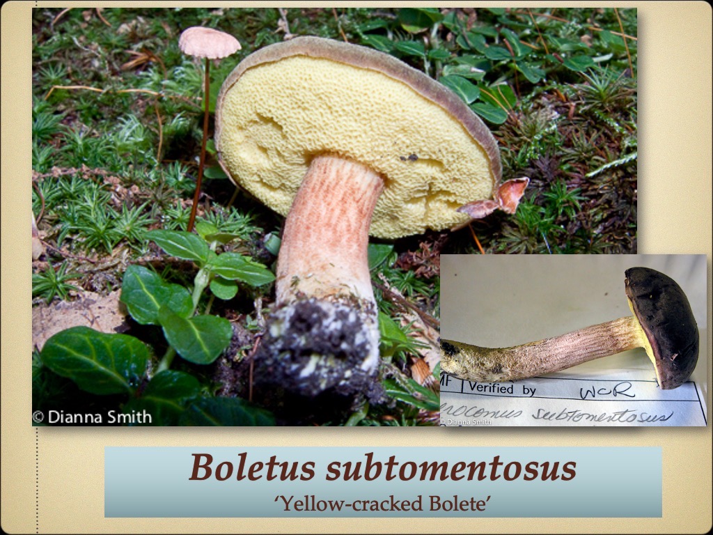 Slide68