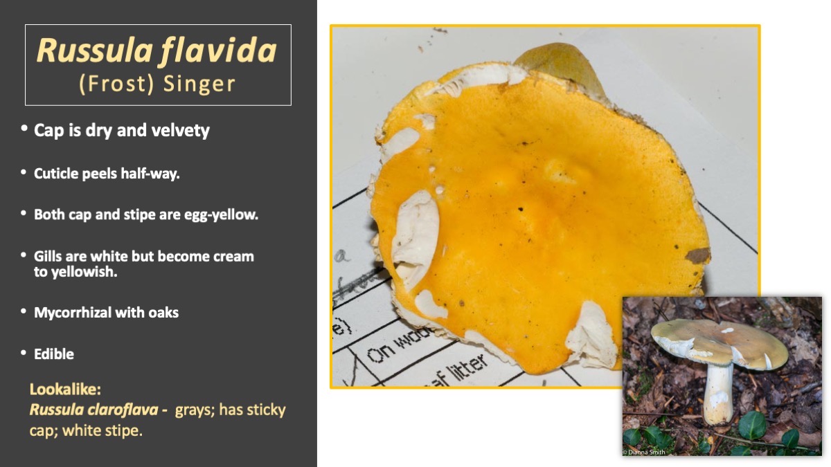 Slide68