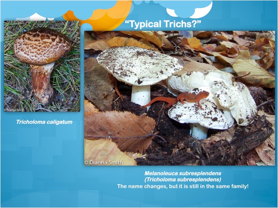 Slide68