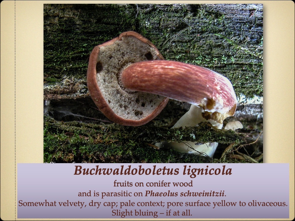 Slide69