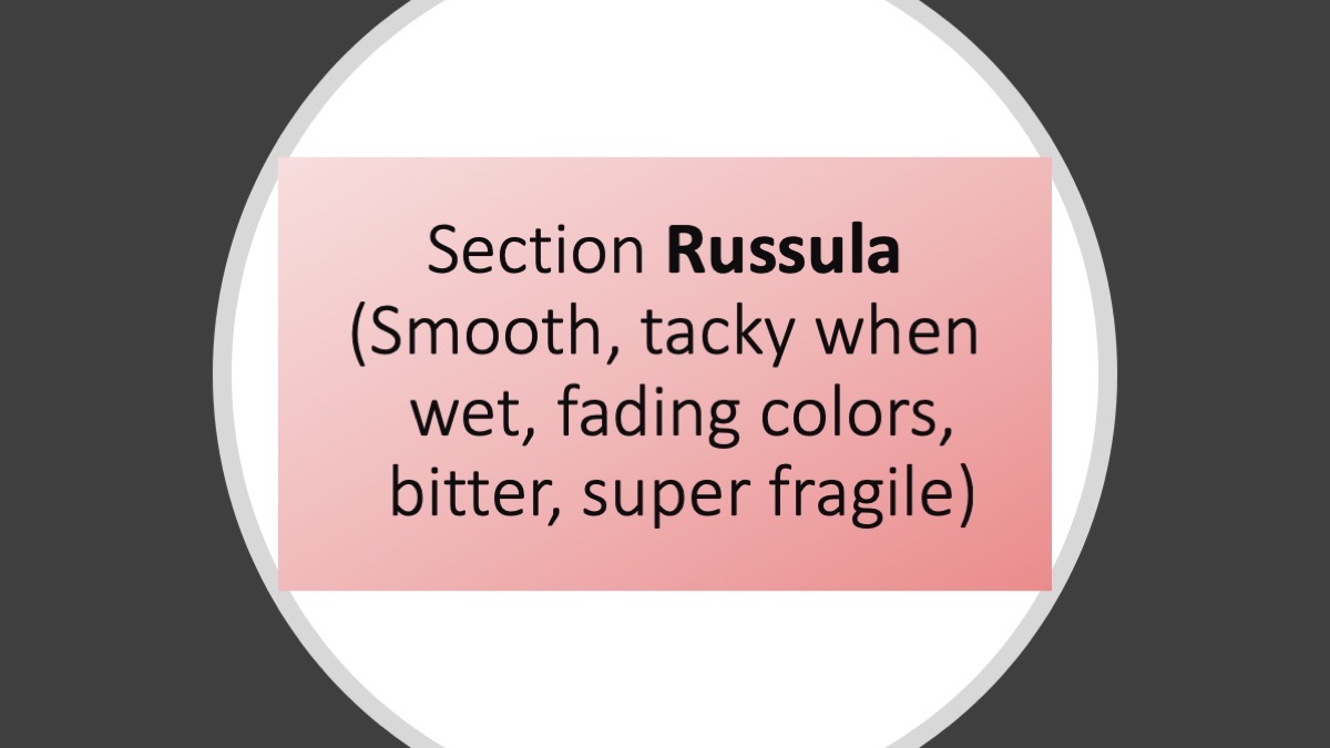 Slide69