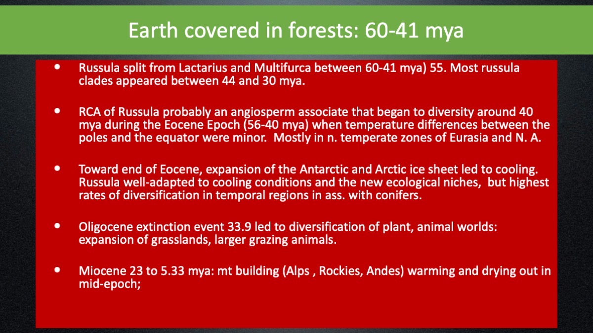 Slide7