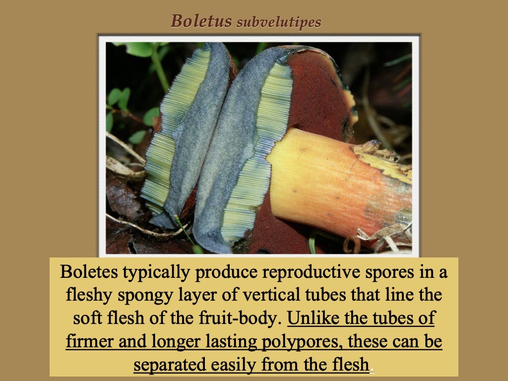 Slide7