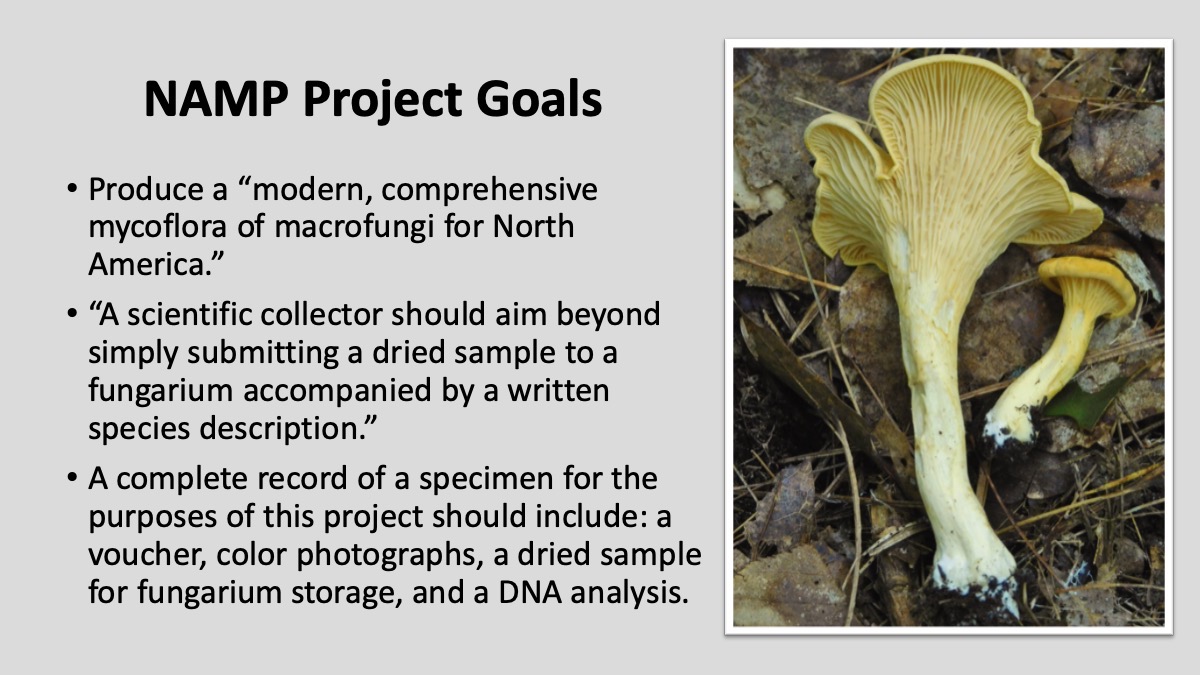 Slide7
