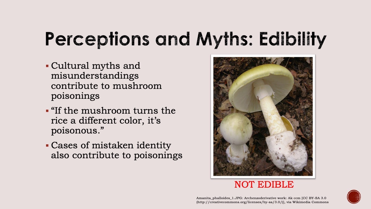 Slide7