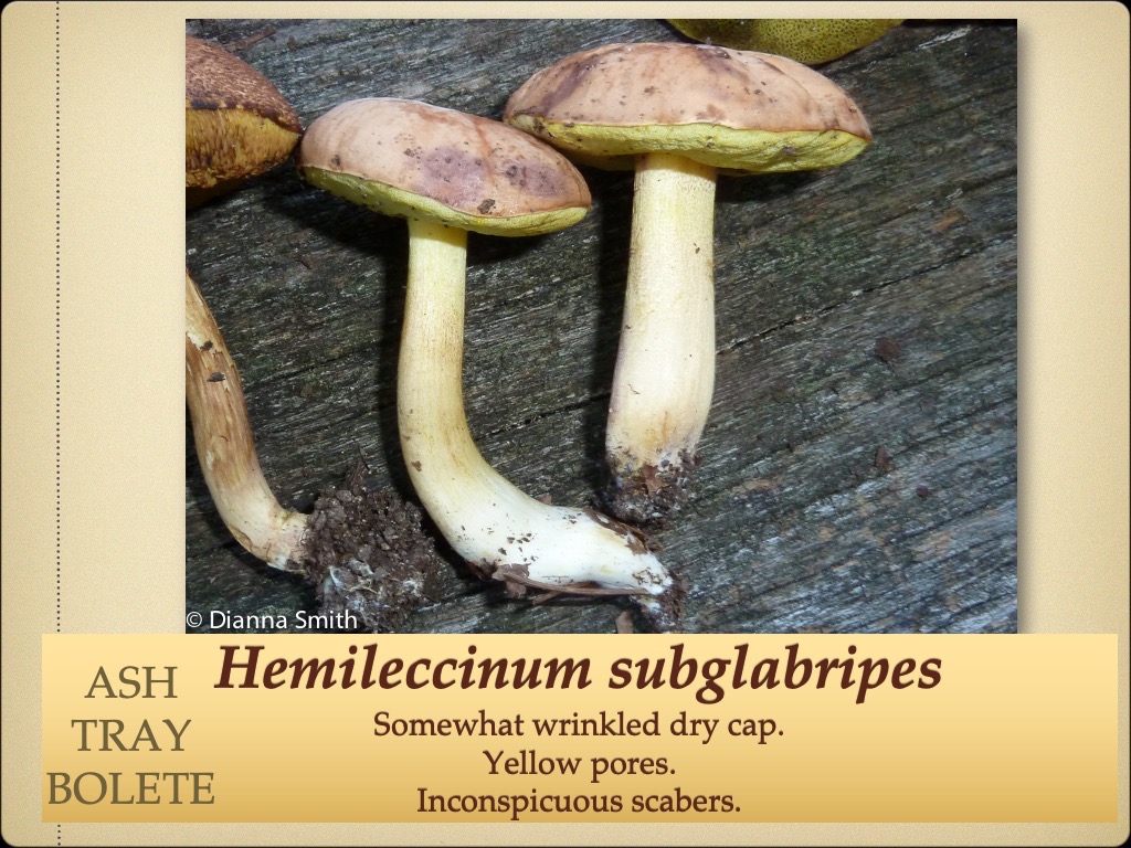 Slide70