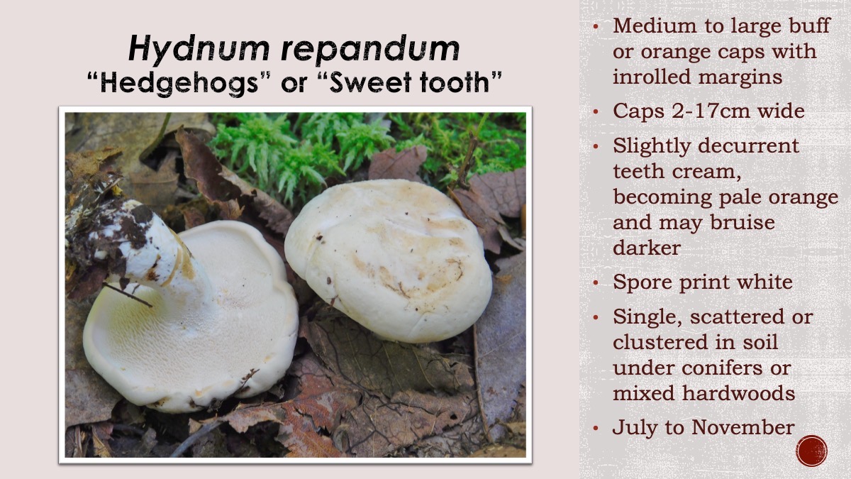 Slide70