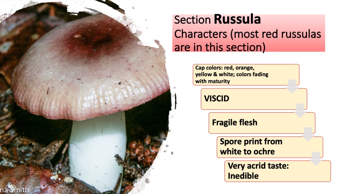 Slide70