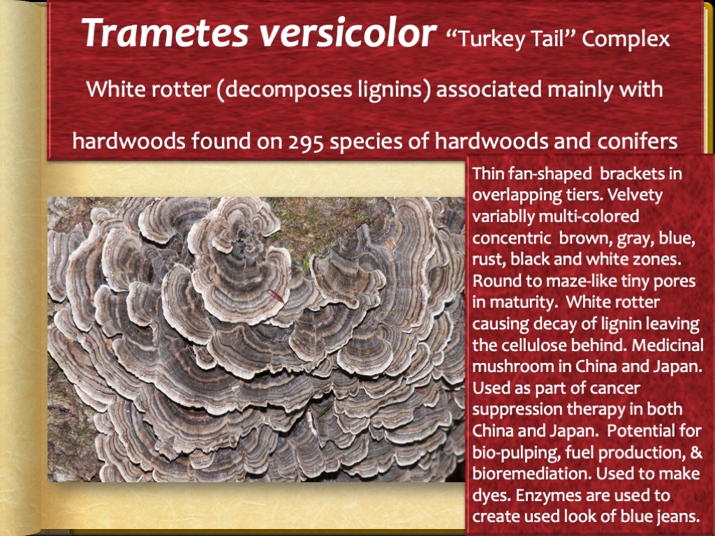 Slide70