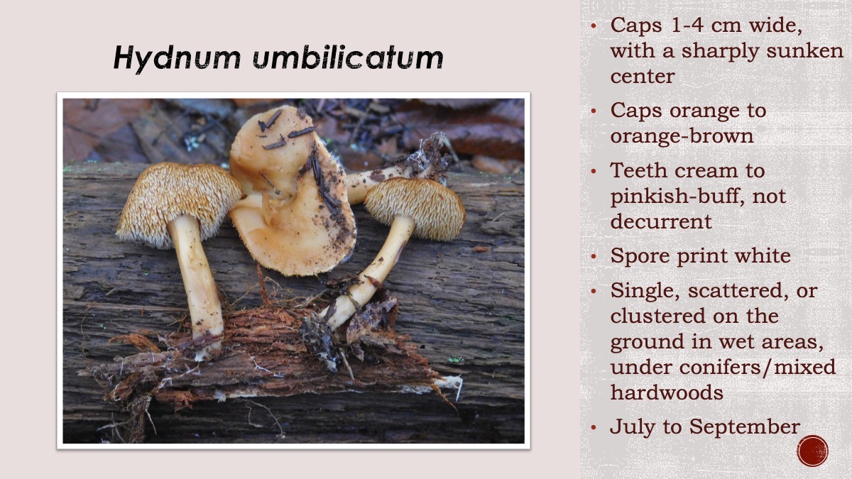 Slide71
