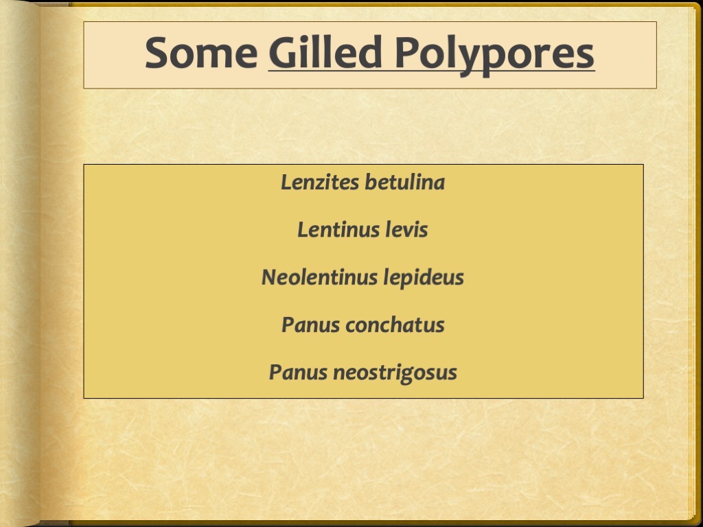 Slide71