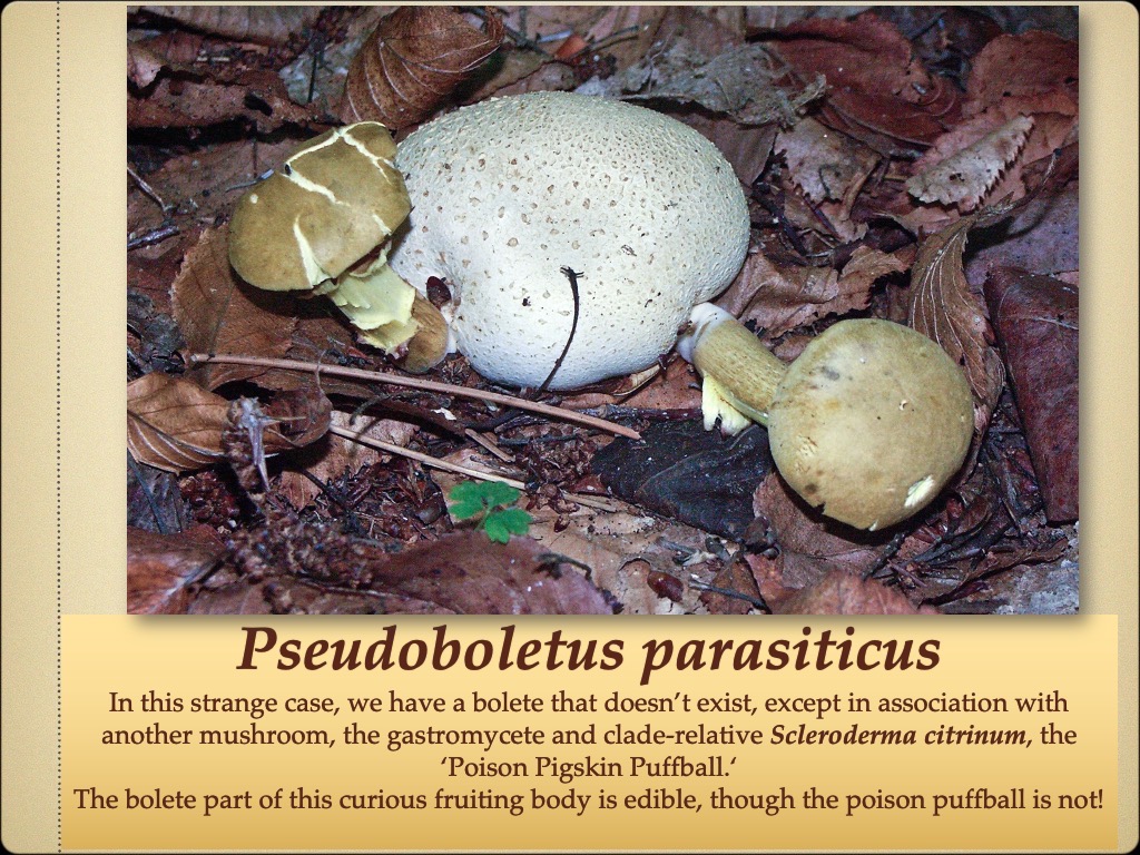 Slide72