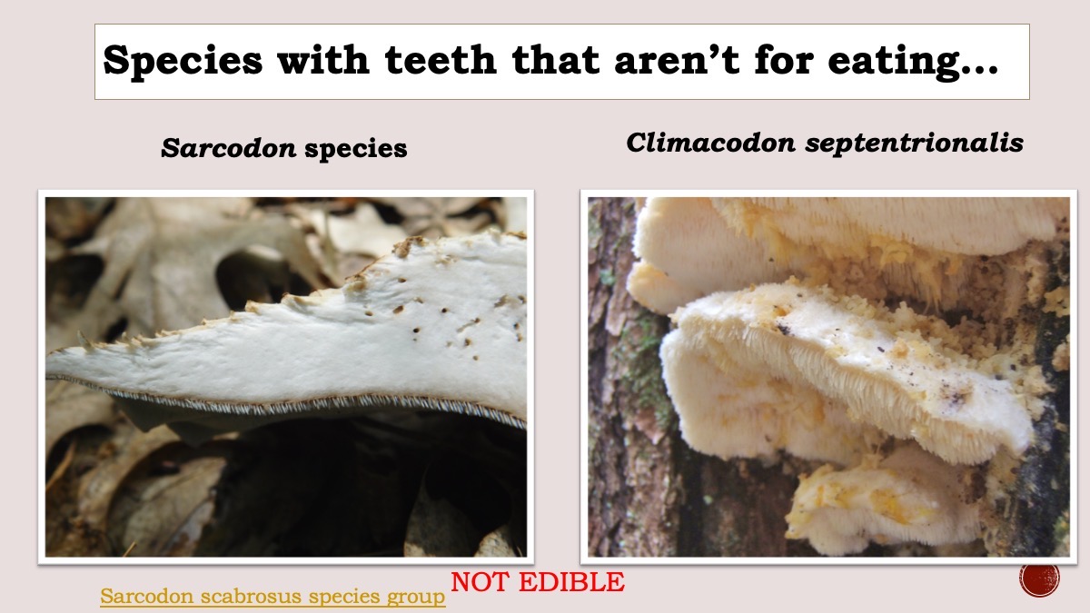 Slide72