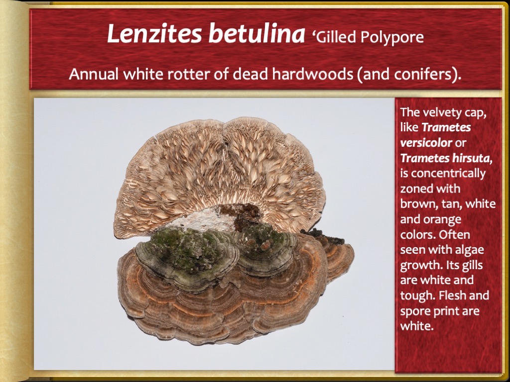 Slide72