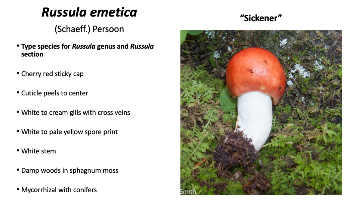 Slide72