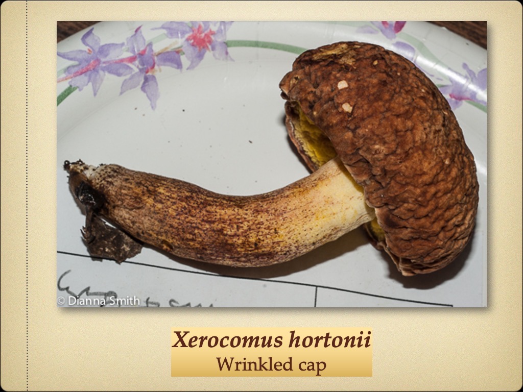 Slide73