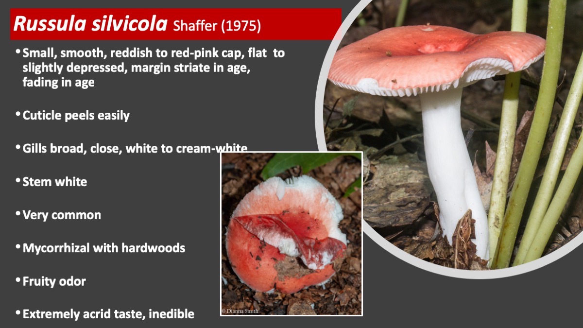 Slide73