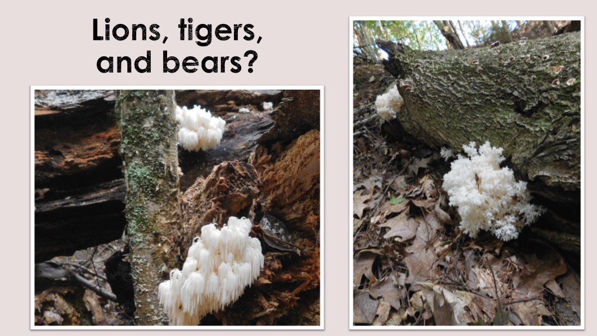 Slide73