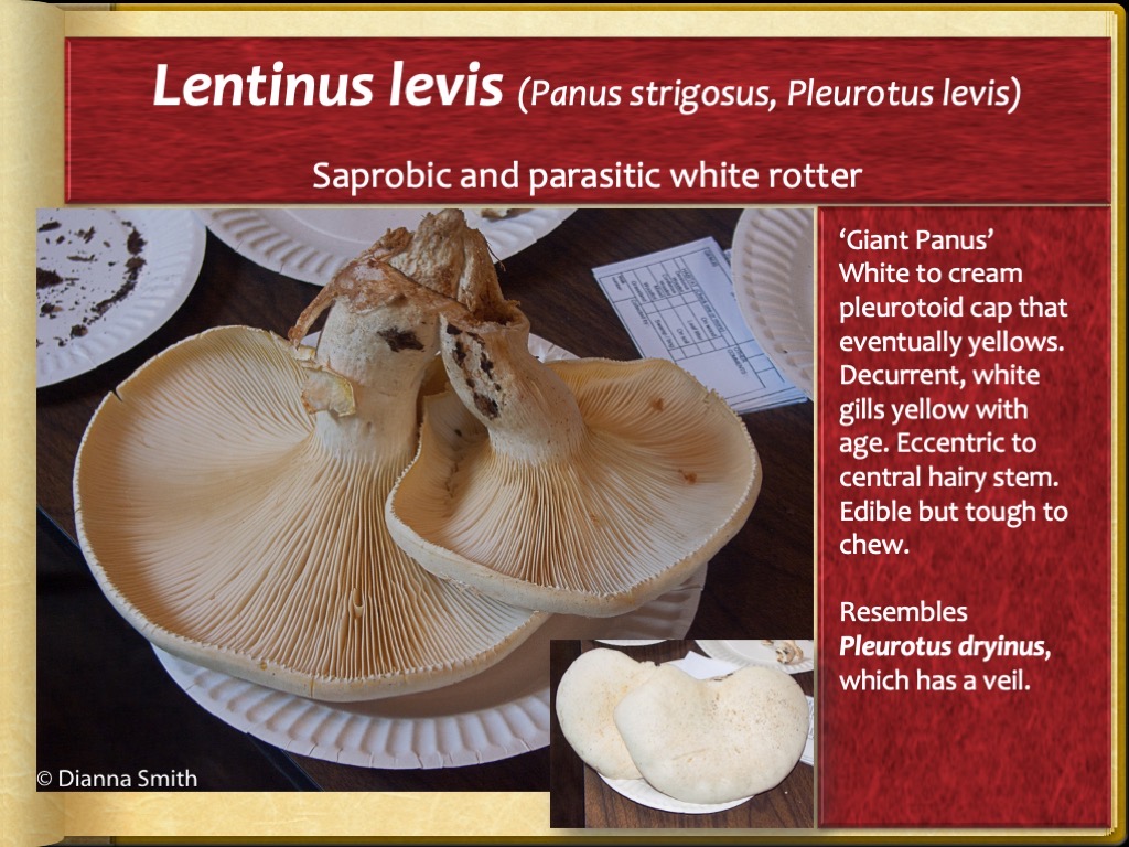 Slide73