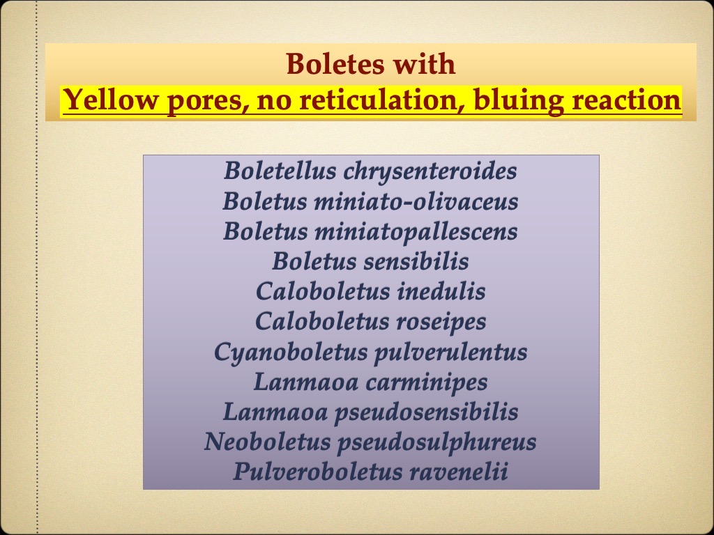 Slide74