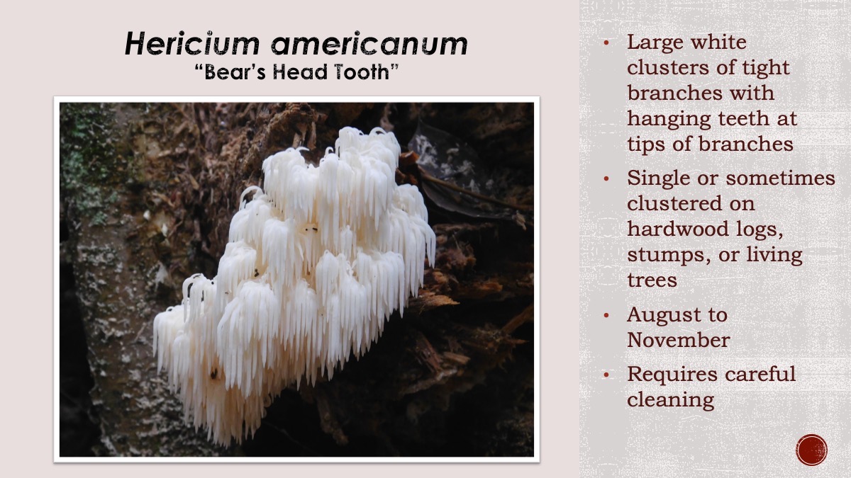Slide74