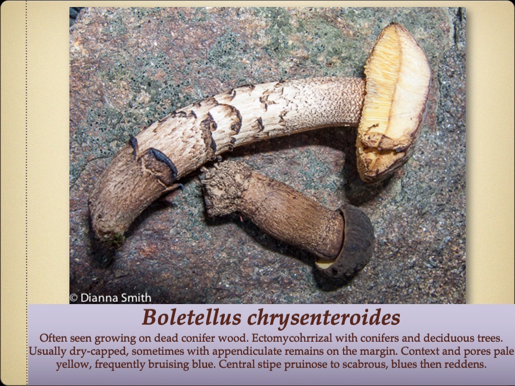Slide75