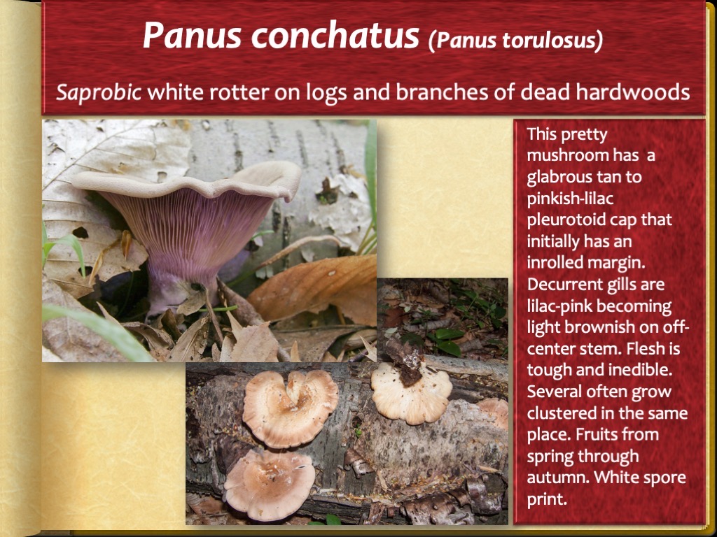 Slide75