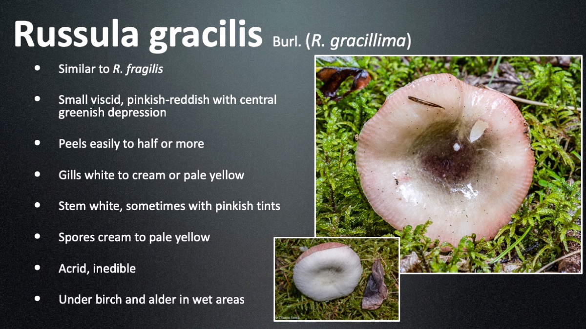 Slide75
