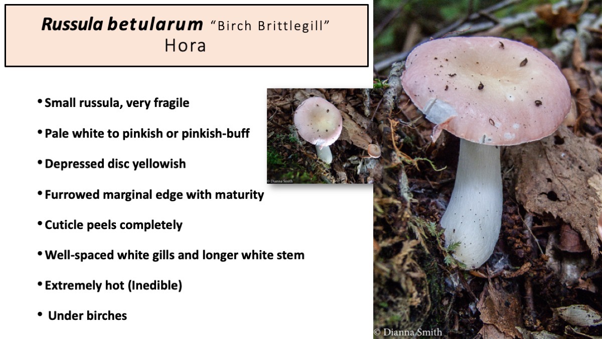 Slide76