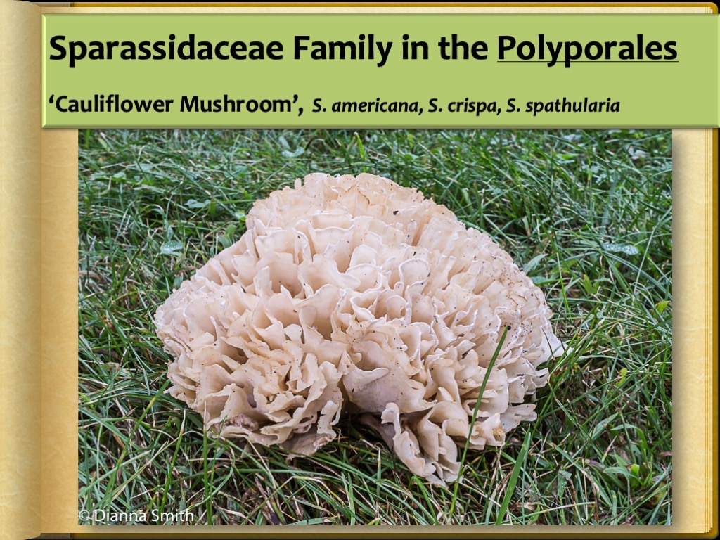 Slide76