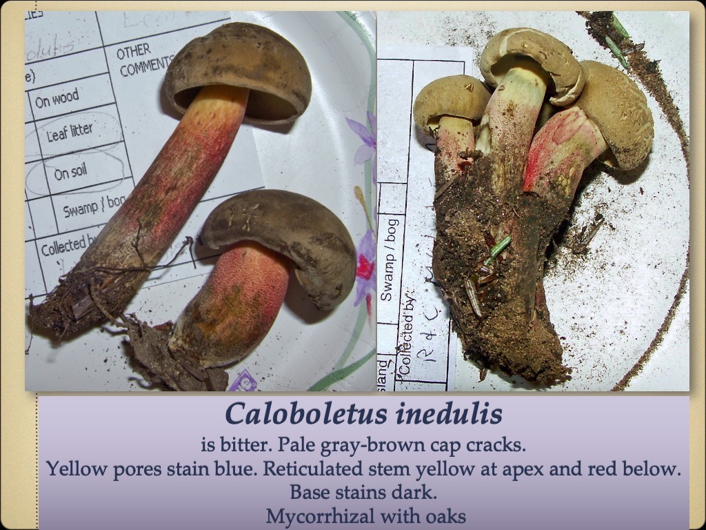 Slide77