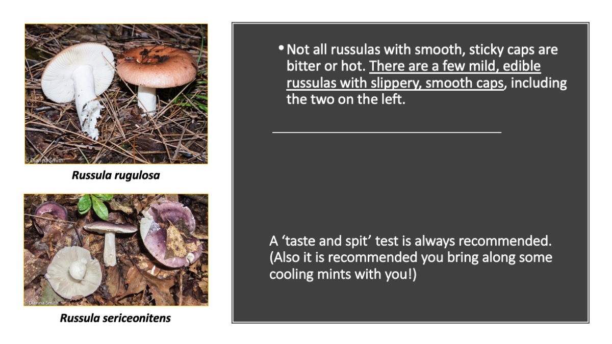 Slide77