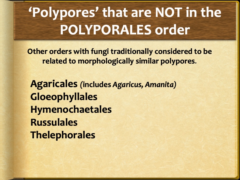 Slide77
