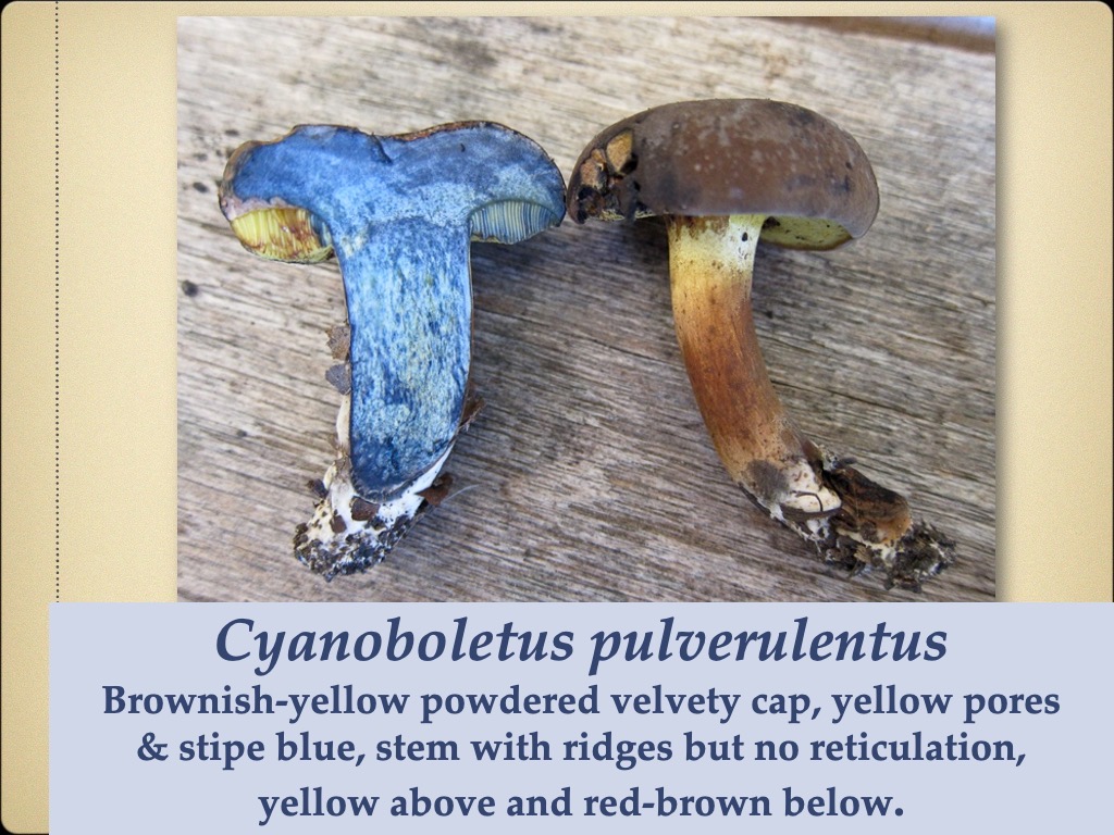 Slide78